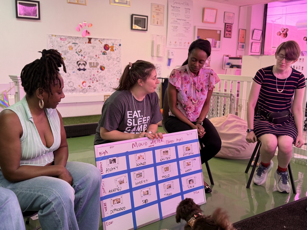 Mood meter discussion group